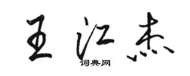 駱恆光王江傑行書個性簽名怎么寫