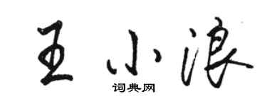駱恆光王小浪行書個性簽名怎么寫