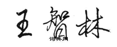 駱恆光王智林行書個性簽名怎么寫