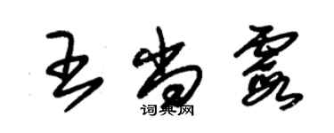 朱錫榮王尚霞草書個性簽名怎么寫