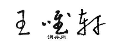 駱恆光王唯軒草書個性簽名怎么寫