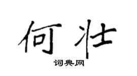 袁強何壯楷書個性簽名怎么寫