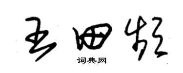 朱錫榮王田頻草書個性簽名怎么寫