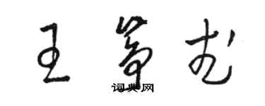 駱恆光王箏武草書個性簽名怎么寫