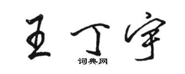 駱恆光王丁宇行書個性簽名怎么寫