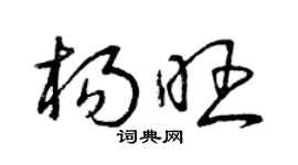 曾慶福楊旺草書個性簽名怎么寫