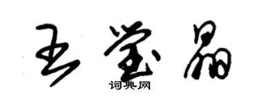 朱錫榮王瑩晶草書個性簽名怎么寫