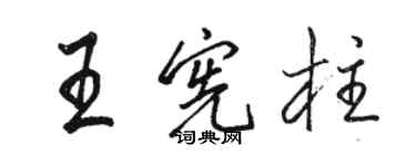 駱恆光王憲柱行書個性簽名怎么寫