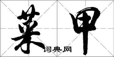 胡問遂菜甲行書怎么寫