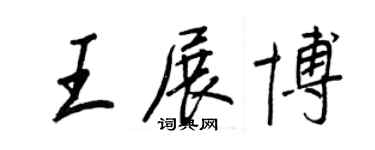 王正良王展博行書個性簽名怎么寫