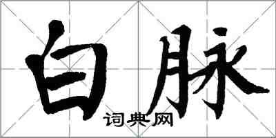 翁闓運白脈楷書怎么寫