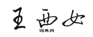 駱恆光王西女行書個性簽名怎么寫