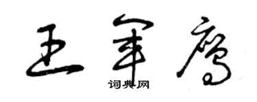 曾慶福王軍鷹草書個性簽名怎么寫