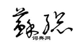 曾慶福蘇總草書個性簽名怎么寫