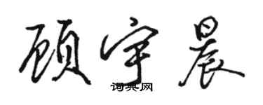 駱恆光顧宇晨行書個性簽名怎么寫