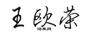 駱恆光王歐榮行書個性簽名怎么寫