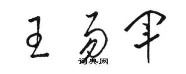 駱恆光王易軍草書個性簽名怎么寫