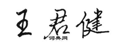 駱恆光王君健行書個性簽名怎么寫