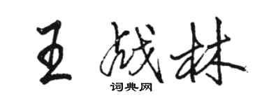 駱恆光王戰林行書個性簽名怎么寫