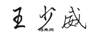 駱恆光王少威行書個性簽名怎么寫