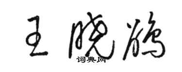 駱恆光王曉鵑草書個性簽名怎么寫