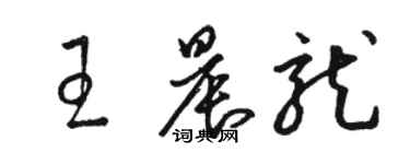 駱恆光王晨龍草書個性簽名怎么寫