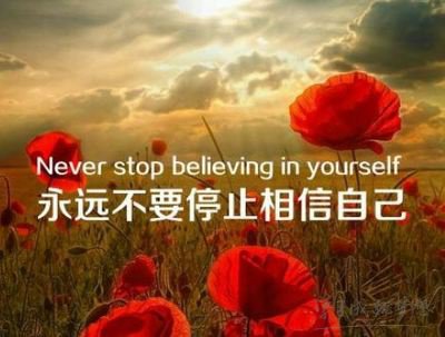 感悟愛情短語大全