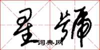 朱錫榮星號草書怎么寫