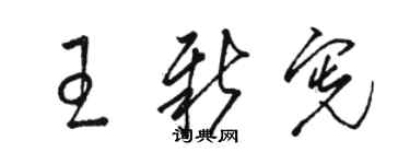 駱恆光王新憲草書個性簽名怎么寫