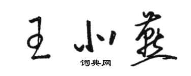 駱恆光王北燕草書個性簽名怎么寫