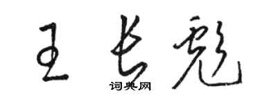 駱恆光王長彪草書個性簽名怎么寫