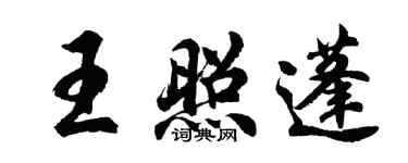 胡問遂王照蓬行書個性簽名怎么寫
