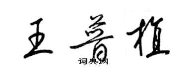 梁錦英王普植草書個性簽名怎么寫