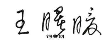 駱恆光王曙暖草書個性簽名怎么寫