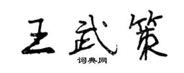 曾慶福王武策行書個性簽名怎么寫