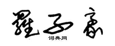 朱錫榮羅子豪草書個性簽名怎么寫