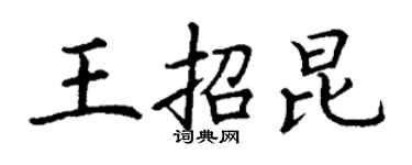 丁謙王招昆楷書個性簽名怎么寫