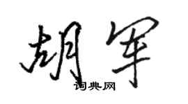 駱恆光胡軍行書個性簽名怎么寫