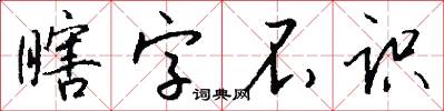 瞎字不識怎么寫好看