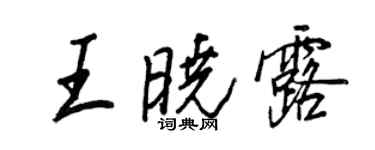 王正良王曉露行書個性簽名怎么寫