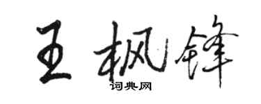 駱恆光王楓鋒行書個性簽名怎么寫