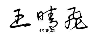 曾慶福王晴飛草書個性簽名怎么寫