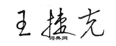 駱恆光王捷克草書個性簽名怎么寫