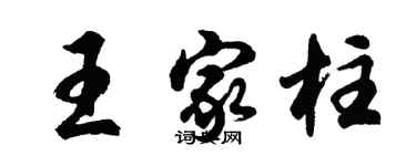 胡問遂王家柱行書個性簽名怎么寫