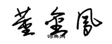 朱錫榮董金鳳草書個性簽名怎么寫