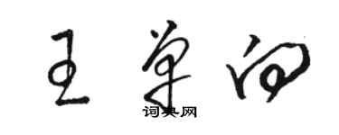 駱恆光王單向草書個性簽名怎么寫