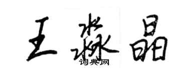 王正良王淼晶行書個性簽名怎么寫
