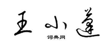 梁錦英王小蓬草書個性簽名怎么寫