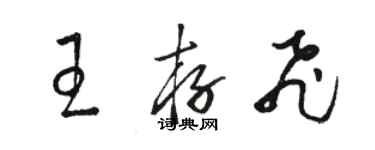 駱恆光王存飛草書個性簽名怎么寫