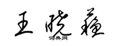 梁錦英王曉蘇草書個性簽名怎么寫